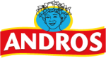 Andros-new-logo
